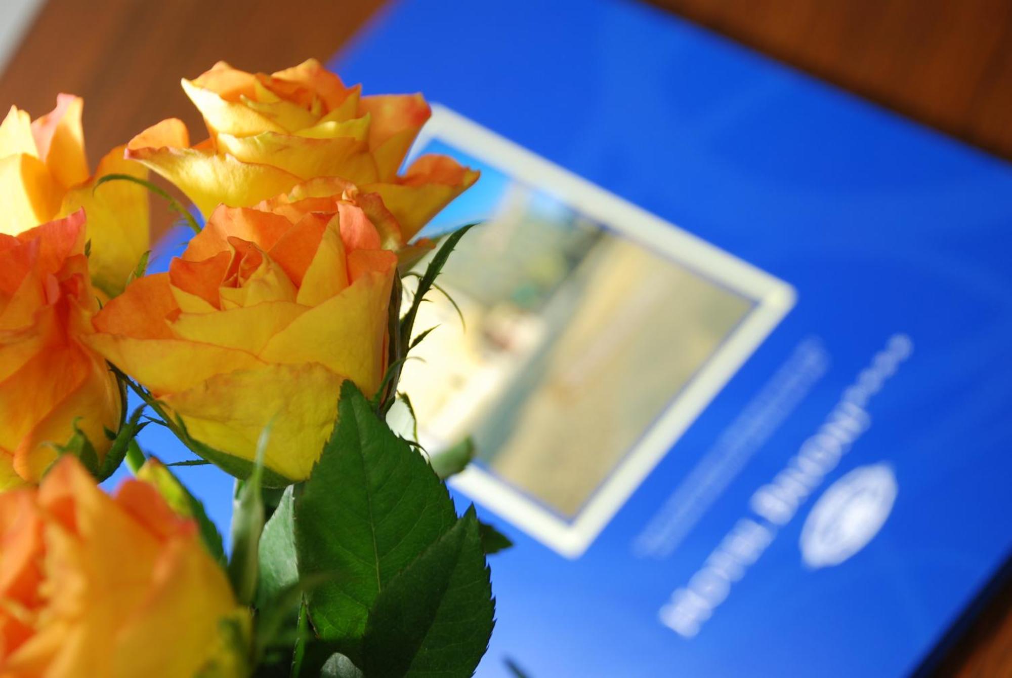 Hotel Brioni Boutique 4* Ostrava